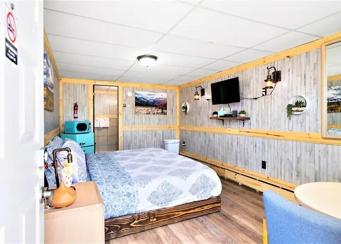 9 Newly Renovated Dog Friendly Room Leadville