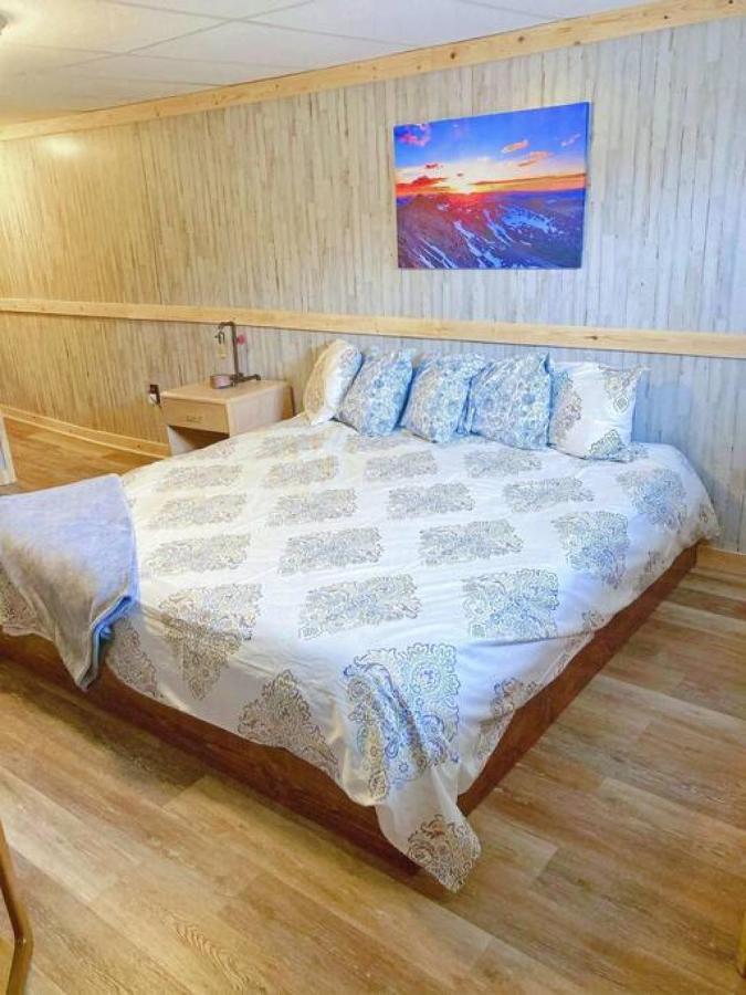 Appartement 9 Newly Renovated Dog Friendly Leadville