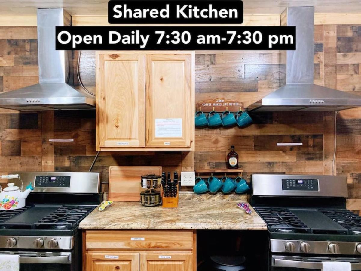 9 Newly Renovated Dog Friendly Appartement