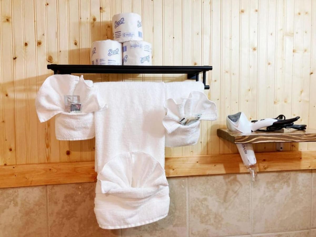 9 Newly Renovated Dog Friendly Appartement *